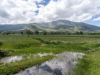 Feuchtgebiet hinter Çiftlik mit Felder und hohen Bergen